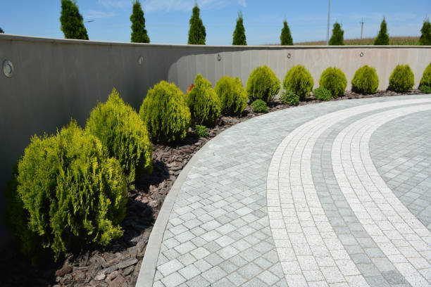 Best Driveway Repair Near Me  in Emmon, AK